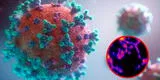 Estudio revela que el coronavirus es una enfermedad vascular y no respiratoria