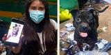Cercado de Lima: delincuentes roban 25 mil soles y la mascota de la empresa