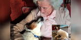 Anciana adopta un perro adulto para que sea su compañero: “Supe de inmediato que él era el indicado para mí”