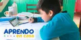 Aprendo en casa EN VIVO vía TV Perú online hoy miércoles 12 de mayo: sigue en directo las clases de primaria