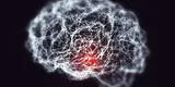 Alzheimer: investigadores desarrollan método para detectar la enfermedad en etapas tempranas