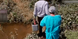 Vacunación Covid-19: Enfermera cruza acequias para inocular a adultos mayores de caseríos en Piura