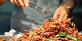 Alimentos del futuro: científicos proponen cultivar gusanos para combatir la desnutrición