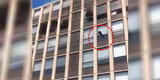 Gato salta desde el quinto piso de un edificio para escapar de un incendio [VIDEO]