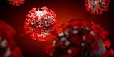 Coronavirus: ¿Cuánto tiempo permanecen los anticuerpos del COVID-19 en la sangre?