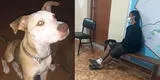 Chorrillos: PNP detiene a hombre que asesinó a perro pitbull de vecino