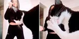 Intenta superar reto de baile de TikTok, pero su gato le ‘roba’ el show con su rutina de limpieza [VIDEO]
