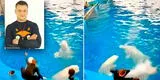 Entrenador es captado golpeando a ballenas beluga por no besarlo para un truco [VIDEO]