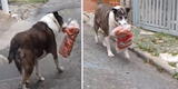 Perro ‘roba’ una bolsa de carne y tiene curiosa reacción al ser descubierto por su dueño [VIDEO]
