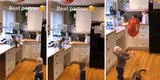 Gato ve que el globo de un niño quedó atrapado en el techo y se sube a la mesa para entregárselo [VIDEO]