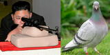 Kim Jong-un ordena eliminar a las palomas, tras afirmar que vuelan desde China trayendo COVID-19