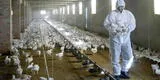 China confirma el primer caso mundial de gripe aviar H10N3 en un humano [VIDEO]
