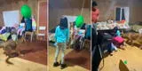 Familia festeja fiesta de cumpleaños y su perro roba el 'show' al intentar romper la piñata [VIDEO]