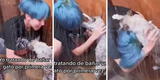 Joven es atacada por su gato cuando lo intentaba bañar en la ducha [VIDEO]
