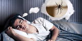 Interpretación de los sueños: ¿Que significa soñar con arañas que te pican?
