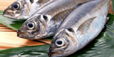 ¿Cómo saber si un pescado está en mal estado? 5 trucos para comprar pescado fresco