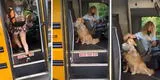 Perro acompaña a su dueña a tomar el autobús escolar y se sube para alcanzarle su peluche [VIDEO]
