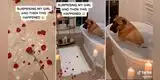 Le prepara una romántica sorpresa a su esposa, pero su perro pensó que era para él [VIDEO]