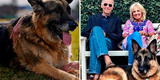 Estados Unidos de luto: muere el perro del presidente Joe Biden, “Champ” [FOTO]
