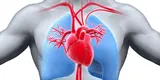 Sistema Circulatorio: cómo funciona y cuáles son las partes del aparato circulatorio