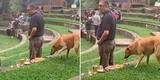 Perrito sin hogar aprovechó la distracción de un hombre y le robó una pizza [VIDEO]