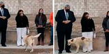 Perrito irrumpe un acto público y orina a una de las autoridades [VIDEO]