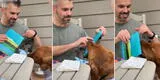 Perrito sorprende a su dueño con curiosa actitud al ayudarlo a abrir sus regalos de cumpleaños [VIDEO]