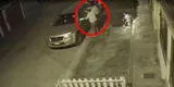Los olivos: delincuentes asaltan a joven y se llevan su camioneta