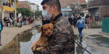 Callao: rescatan a perrito en incendio que afectó fábrica de calzado [FOTOS]