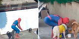 Hombre disfrazado del ‘Hombre araña’ reparte comida a perritos sin hogar