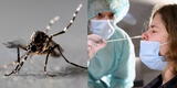 Alerta en EE.UU. por detección de mosquitos portadores del virus del Nilo Occidental en siete estados