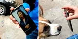 Perrito ve la foto de Keiko Fujimori en el celular de su dueño y reacciona enfurecido [VIDEO]