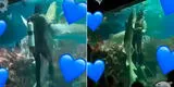 Buzo y tiburón son captados 'bailando' el vals en el fondo de un acuario y video se viraliza