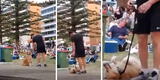Perrito se resiste a dejar el parque y protagoniza curioso ‘berrinche’ delante de su dueño [VIDEO]