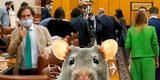 ¡Una rata en el Congreso! roedor alborota parlamento de Andalucía [VIDEO]