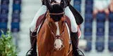 Tokio 2020: sacrifican caballo de equitación tras quedar cojo en la competencia olímpica