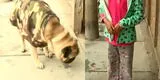 Chorrillos: delincuentes golpean a niña de 7 años para robarle su mascota [VIDEO]