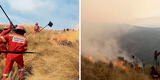 Cusco: incendio forestal sigue por cuatro días consecutivos y arrasa con más de 2 mil hectáreas