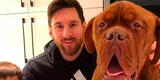 Lionel Messi en PSG: el astro argentino espera a ‘Hulk’, su perro de 80 mil dólares [FOTOS]