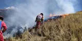 Puno: cinco incendios forestales arrasaron con 251 hectáreas de pastos