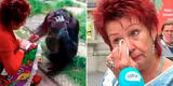 Mujer afirma que tiene una relación con un chimpancé y zoológico le prohíbe el ingreso