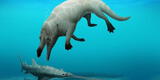 Ballena de cuatro patas: nueva especie fue descubierta en Egipto