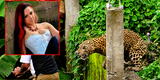 Modelo es atacada por un leopardo tras ingresar a un refugio de animales a tomarse fotos