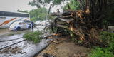 Huracán Ida EN VIVO: cobra fuerza y llega a Luisiana con fuertes vientos de categoría 4