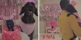 Familia celebra el cumpleaños de su perrita y ella "baila vals" con su dueño [VIDEO]