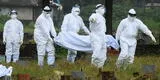 India teme brote del virus Nipah, más letal que el coronavirus
