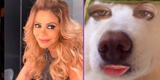 Gisela impacta con filtro de cara de perro para reflexionar: "Que Dios los bendiga" [VIDEO]