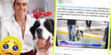 Usuarios estallan contra Giuseppe Benignini por vender a su perrito: “Corazón de piedra”