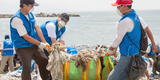 Municipalidad de Lima convoca a voluntarios para jornada de limpieza en playas limeñas
