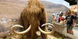 Científicos pretenden revivir al mamut lanudo para salvar a la Tierra [FOTO]